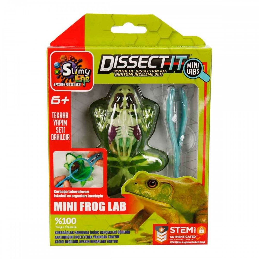 SLIMY KURBAĞA DENEY SETİ (24)