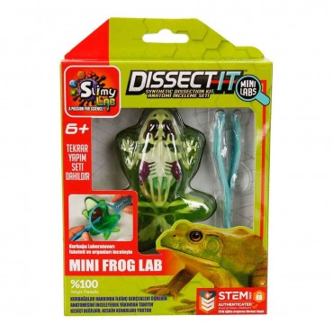 SLIMY KURBAĞA DENEY SETİ (24)