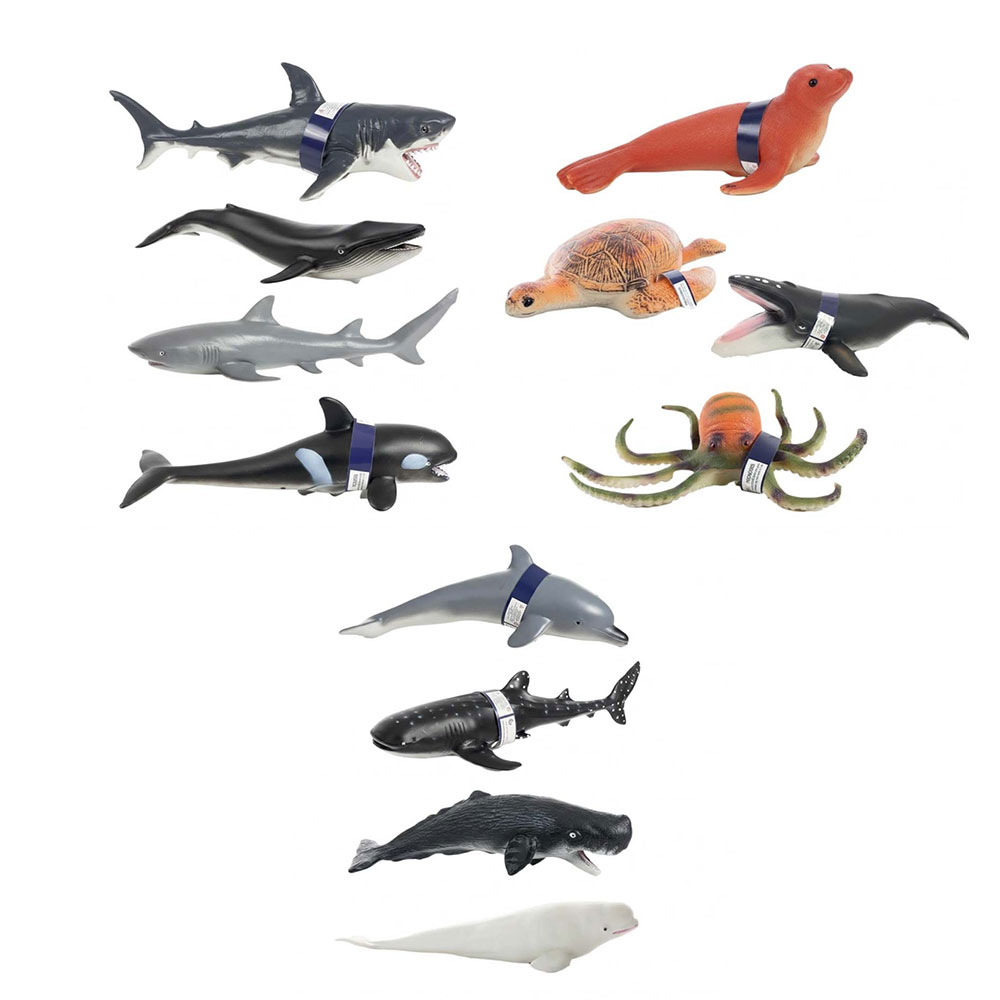 12'Lİ PAKETTE DENİZ HAYVANLARI (144A)