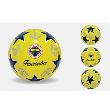 430 GR FENERBAHÇE FUTBOL ...