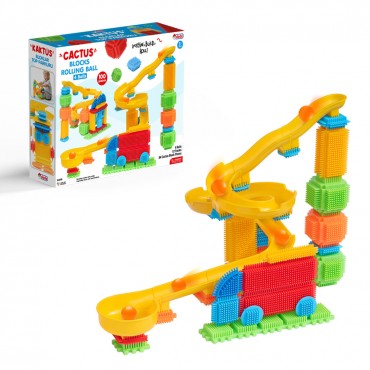 100 PARÇA KAKTÜS BLOKLAR ...