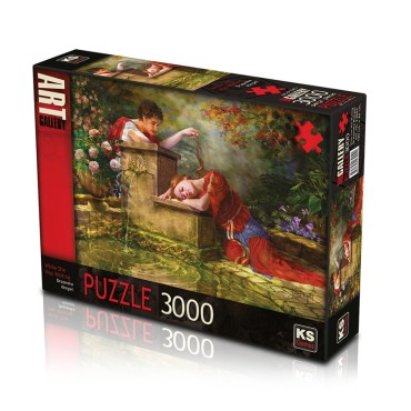 3000 PARÇA ASORTİ PUZZLE ...