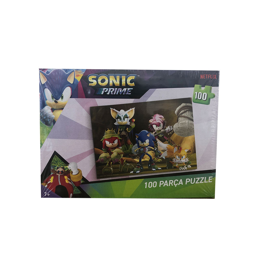 100 PCS SONİC PUZZLE (66)