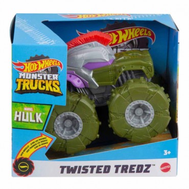 HW MONSTER TRUCKS 1:43 ÇE...