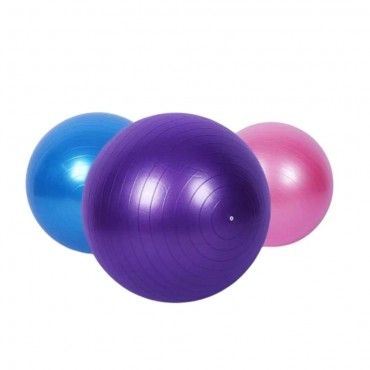 65 CM PİLATES TOPU (40)