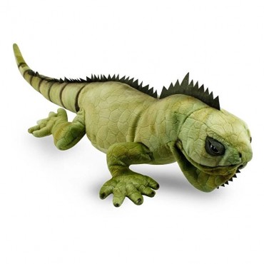 66 CM İGUANA (2)