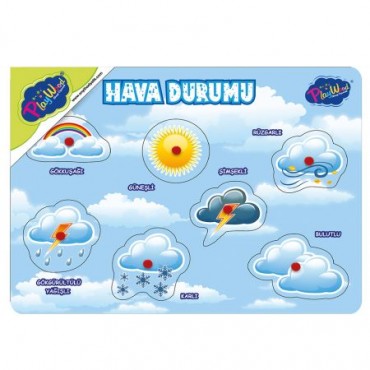 AHŞAP TUTMALI HAVA DURUMU (48)