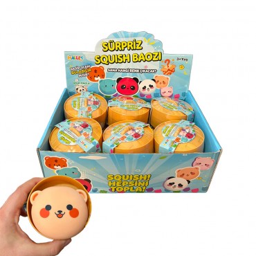 12'Lİ PAKETTE ÇİN MANTISI...