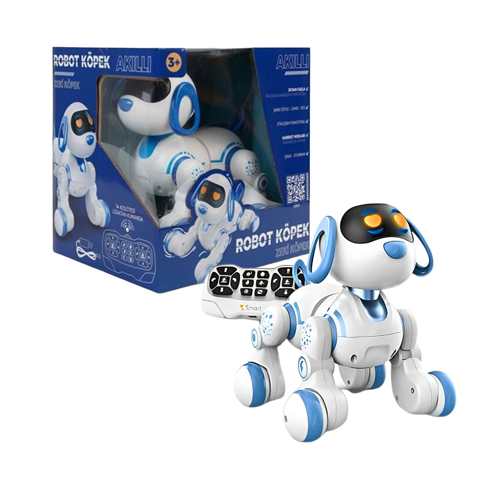 U.K DANS EDEBİLEN ROBOT KÖPEK (12)