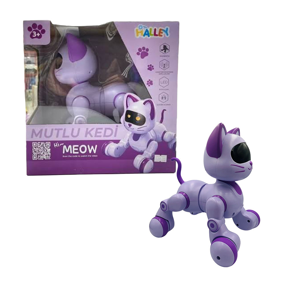 U.K DANS EDEBİLEN ROBOT KEDİ (12)